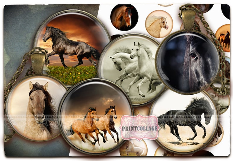 Horse Animal images Digital Collage Sheet Cabochon images 1.5 inch 18mm 14mm 1inch circle Printable images Instant download bottle caps c157 image 1