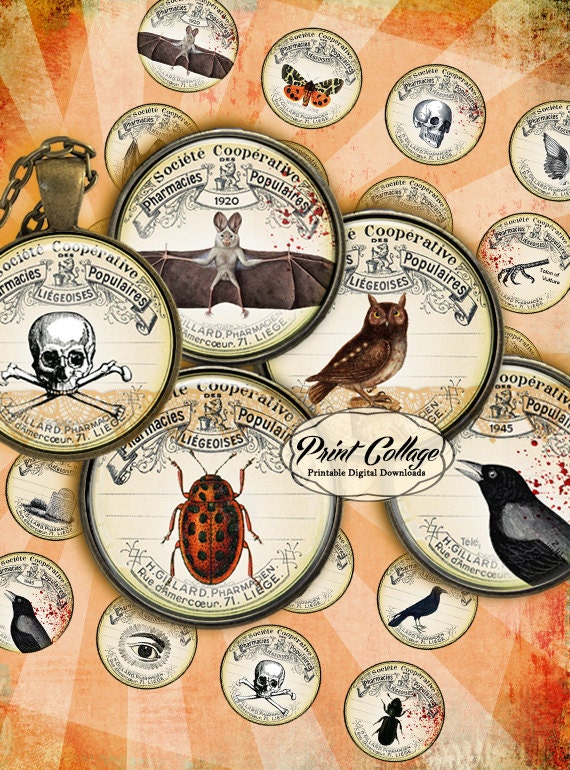 Vintage Apothecary Images Digital Printable Sheet Cabochon | Etsy
