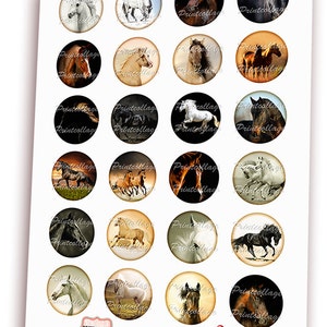 Horse Animal images Digital Collage Sheet Cabochon images 1.5 inch 18mm 14mm 1inch circle Printable images Instant download bottle caps c157 image 2