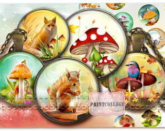 Könnte beinhalten: Ein Set mit 12 runden Glascabochons mit Bildern von Pilzen, Eichhörnchen, Füchsen und Vögeln. Die Cabochons befinden sich an einer Kettenkette und eignen sich perfekt zum Basteln von Schmuck oder anderen Projekten.