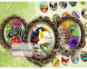 Exotic, Animal Cabochon oval images Digital Printable Sheet 30x40 22x30 18x25 13x18mm Clip Art for pendants Instant downloadable image C101