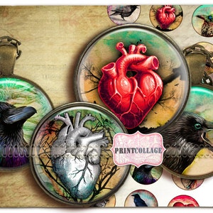 Raven images Cabochon images Digital Collage Sheet 1.5 inch 18 mm 14 mm 1 inch round Printable images digital download Bottle Cap image c181