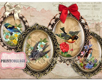 Vintage Bird Cabochon ovale immagini stampabili digitali 30x40 mm 30x22 mm 25x18 mm 18x13 mm per ciondoli lunetta cab magneti scrapbooking c04