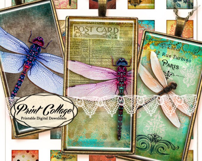 Butterflies and Dragonflies - Digital Collage Sheet - 1 X 2 Inch Domino ...