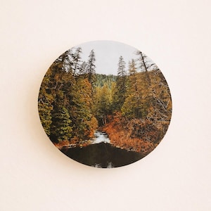 Oregon Forest Magnet – Pacific Northwest Souvenir, Travel Gift, Nature Decor, Autumn Landscape Art