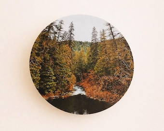 Oregon Forest Magnet – Pacific Northwest Souvenir, Travel Gift, Nature Decor, Autumn Landscape Art