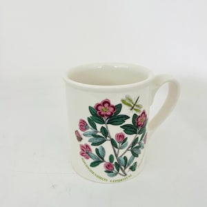 Portmeiron Tasse Botanischer Garten Rhododendron Lepidotum