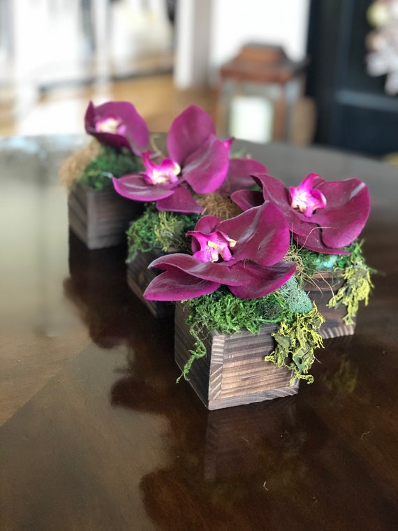 Purple Orchid Plant Centerpieces Il 570xN.1909966778 Mt2b