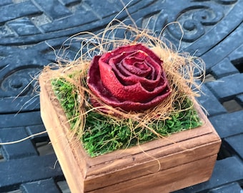 May include: A wooden box with a red rose made from dried orange peels, nestled in green moss and brown fibers.