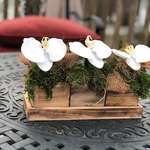 Faux Orchids Centerpiece with different types of natural moss. Mossy centerpiece, Table Decor Home decor, Floral arrangement, Faux Orchids
