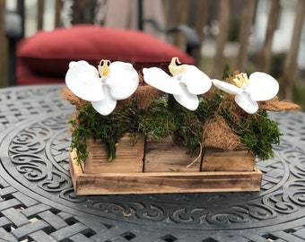 Faux Orchids Centerpiece with different types of natural moss. Mossy centerpiece, Table Decor Home decor, Floral arrangement, Faux Orchids