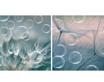 Bathroom Wall Decor dandelion photography set of 2 prints, bubbles art dandelion art prints, teal bathroom pictures, kids bathroom wall art