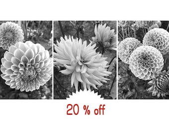 Black and white flower photography prints, grey wall art set of 3 prints, bathroom bedroom wall decor modern botanical pictures, vertical