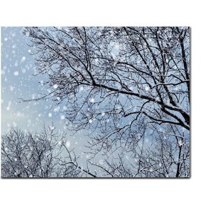 Winter photography print, blue grey white winter canvas wall art, blue Christmas holiday decor, falling snow tree, winter image artwork