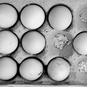 Kitchen wall decor, black and white food photography, farmhouse grey kitchen art, eggs picture, country rustic farm house dining room decor