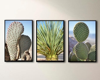 Southwestern decor vertical wall art set of 3 cactus prints, desert chic wall decor, blue green home decor pictures, black and white