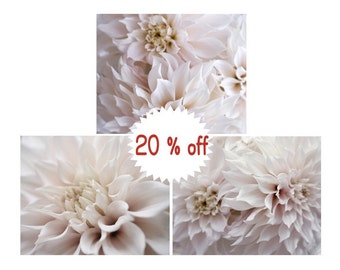 Dahlia photo prints canvas metal, Cafe Au Lait, neutral calming bedroom bathroom, shabby chic country modern farmhouse wall art set of 3
