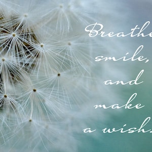 Citation Photographie Pissenlit Typographie Impression Etsy Canada