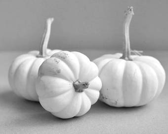 White pumpkin black and white photography print 11x14, 18x24, grey and white kitchen dining room wall art, farmhouse chic country wall decor