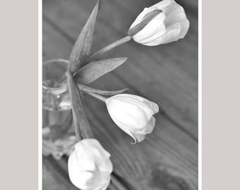 Black and white flower photography print, floral shabby chic farmhouse print, large grey and white tulip, powder room bathroom picture decor