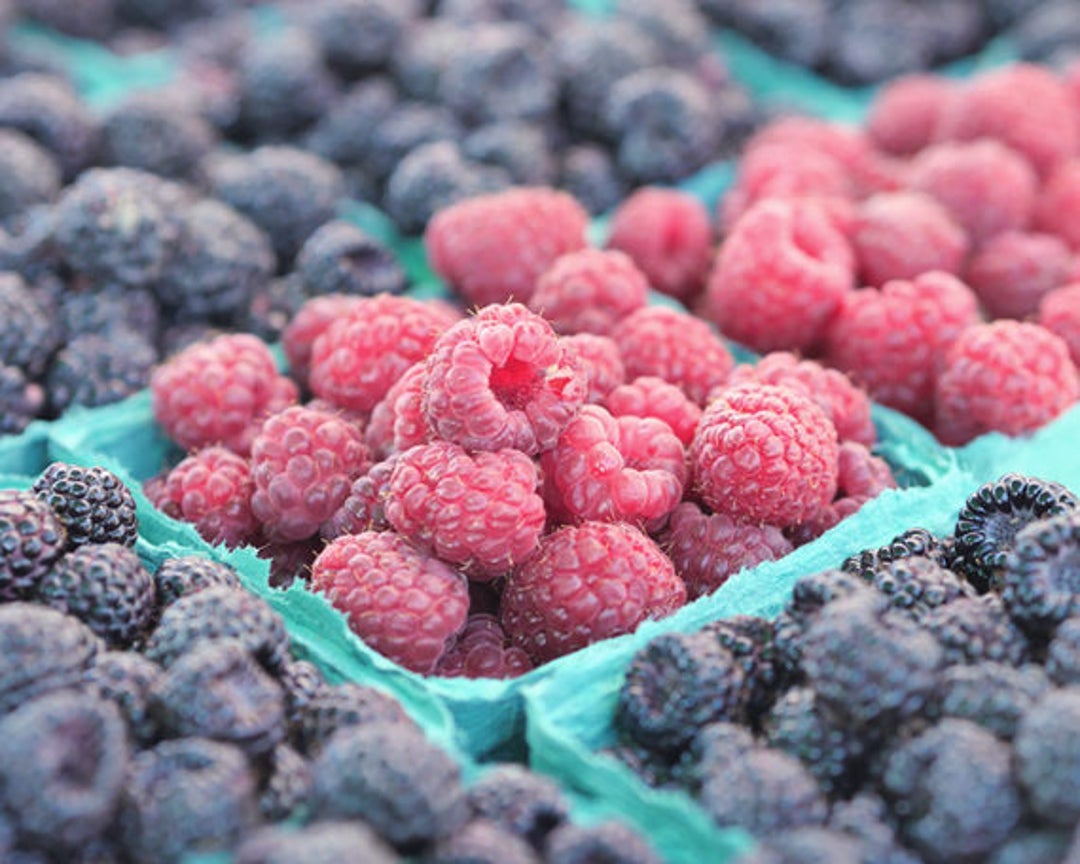 Modern Farmhouse Kitchen Print, Large Dining Room Wall Art, Berries