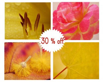 Gallery wall print set of 4 photo prints nature wall art set of 4 macro photography, mustard yellow magenta pink bedroom bathroom wall decor