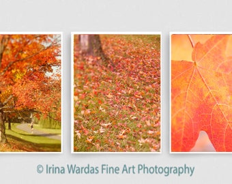 Autumn photography, 11x14 print set of 3 nature prints, modern wall art, fall gallery wall, vertical photos, green red orange home decor