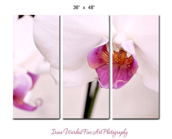 Floral Canvas Art, 3 Piece Wall Art, 3 Panel Extra Large Art