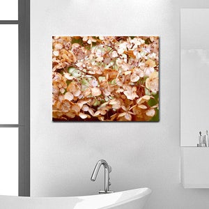 May include: A close-up photograph of a cluster of dried hydrangea flowers. The flowers are a pale beige color and have a delicate, papery texture. The background is a soft, blurred white.