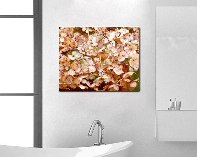 May include: A close-up photograph of a cluster of dried hydrangea flowers. The flowers are a pale beige color and have a delicate, papery texture. The background is a soft, blurred white.