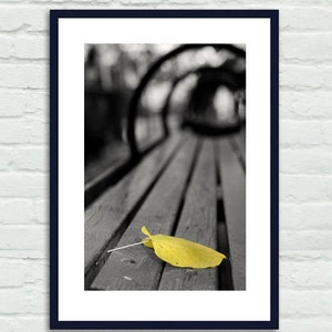 May include: A single yellow leaf lies on a wooden bench, with the rest of the image in black and white.