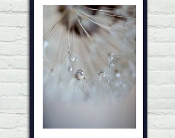 Large grey dandelion photograph, tan brown neutral wall art vertical photo print, powder room art, bathroom wall decor, rain drops picture