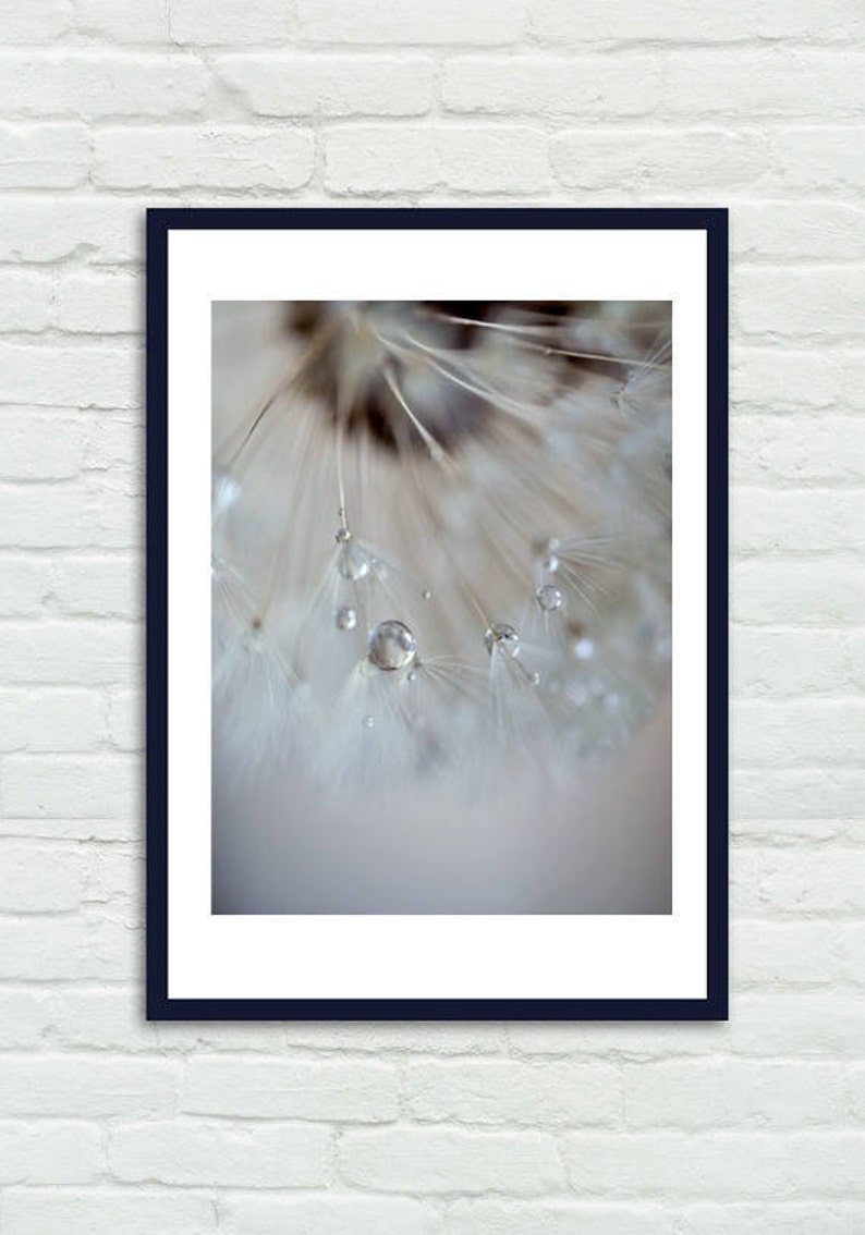 Large Grey Dandelion Photograph Tan Brown Neutral Wall Art Vertical Photo Print Powder Room Bathroom Decor Rain Drops Picture