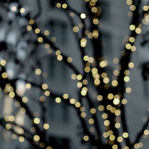 May include: A blurry image of a tree branch with white lights strung on it. The lights are out of focus and create a bokeh effect. The background is a blurry gray building.
