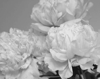 Peony print black and white, light grey wall art, flower photo print, floral wall decor shabby chic bedroom bathroom girls room wall picture