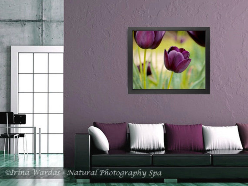 Purple Wall Art Tulip Photography Flower Art Print 16x20 Etsy