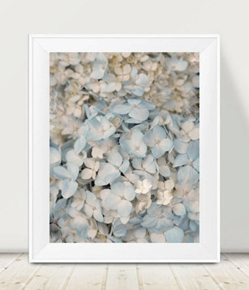 Hydrangea Art Print Pastel Pale Blue Ivory Wall Art Large - Etsy