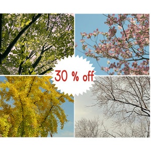 Op de afbeelding: Een collage van vier afbeeldingen die een boom in verschillende seizoenen laten zien: lente met groene bladeren, zomer met roze bloemen, herfst met gele bladeren en winter met kale takken. De tekst "30% korting" is over de afbeelding gelegd.
