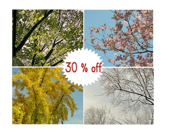 Four seasons tree photography set, 4 wall art prints 11x14, 8x10 Spring Summer Autumn Winter nature prints, green yellow pink white decor