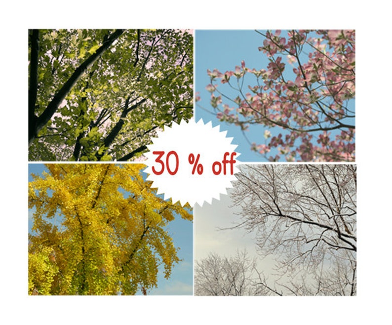 Op de afbeelding: Een collage van vier afbeeldingen die een boom in verschillende seizoenen laten zien: lente met groene bladeren, zomer met roze bloemen, herfst met gele bladeren en winter met kale takken. De tekst "30% korting" is over de afbeelding gelegd.