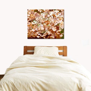 May include: A close-up of a cluster of dried hydrangea flowers in shades of brown and beige. The flowers are arranged in a natural, organic pattern, creating a textured and delicate look.
