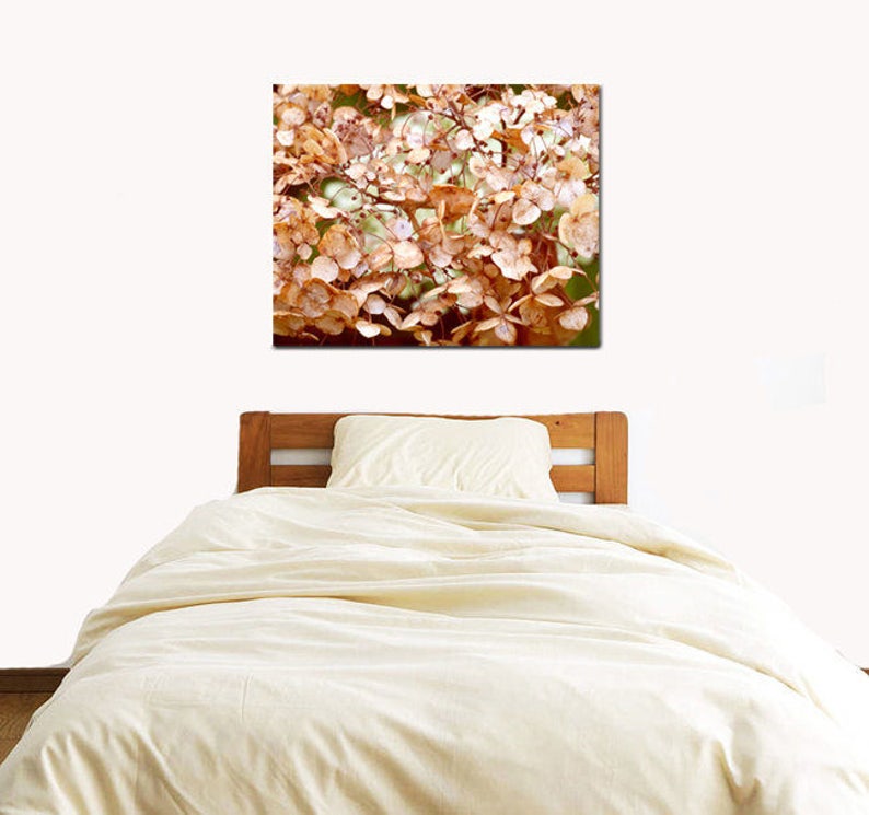 May include: A close-up of a cluster of dried hydrangea flowers in shades of brown and beige. The flowers are arranged in a natural, organic pattern, creating a textured and delicate look.