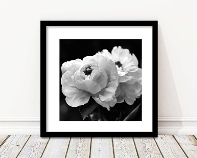 Black and white flower wall art dark floral photography print Etsy