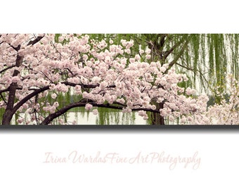 Cherry Blossom panoramic canvas print, Cherry Blossom tree large wall art over bed decor, floral oversized bedroom art, nature canvas wrap