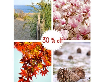 4 season wall art, four seasons prints, nature photography gallery wall vertical, 4 seasons artwork, Winter Spring Summer Fall Autumn photos