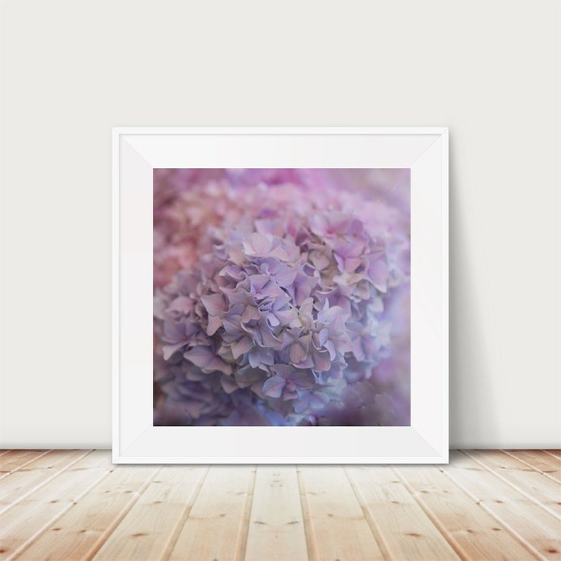 Lavender Hydrangea Photography Print or Floral Wall Art | Etsy