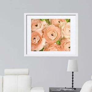 Op de afbeelding: Een close-up afbeelding van een boeket perzikkleurige ranonkels. De bloemen zijn scherp en de achtergrond is wazig.