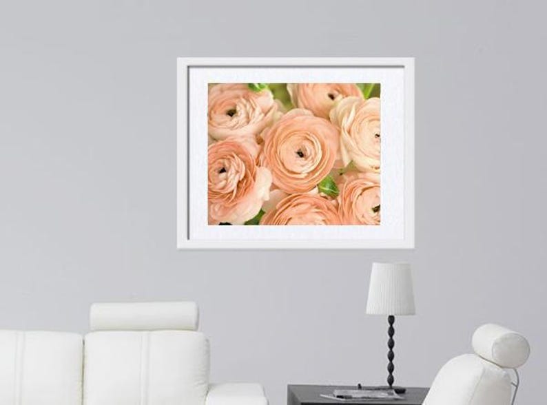 Op de afbeelding: Een close-up afbeelding van een boeket perzikkleurige ranonkels. De bloemen zijn scherp en de achtergrond is wazig.