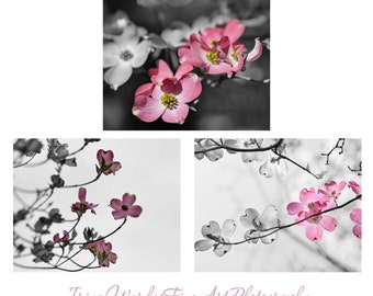 Grey pink wall art modern photography set, flower photo print set, 3 floral pictures 11x14, baby girls room nursery decor, bathroom art