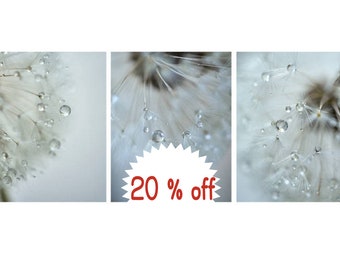 Bathroom wall art, dandelion print set, dandelion photography set of 3, rain drops pictures, grey dandelion, bathroom wall decor, vertical